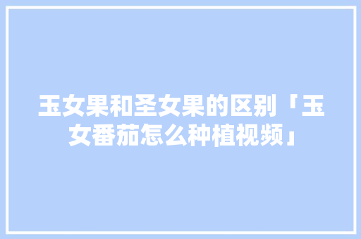 玉女果和圣女果的区别「玉女番茄怎么种植视频」