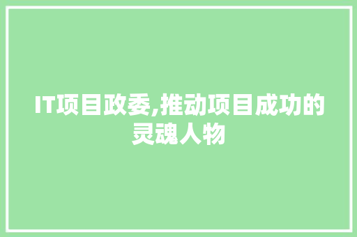 IT项目政委,推动项目成功的灵魂人物