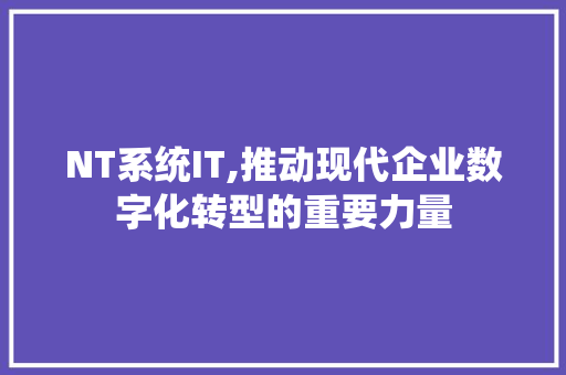 NT系统IT,推动现代企业数字化转型的重要力量