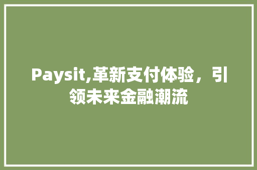 Paysit,革新支付体验，引领未来金融潮流