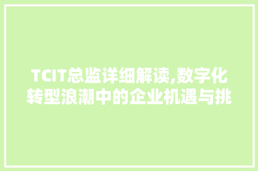 TCIT总监详细解读,数字化转型浪潮中的企业机遇与挑战