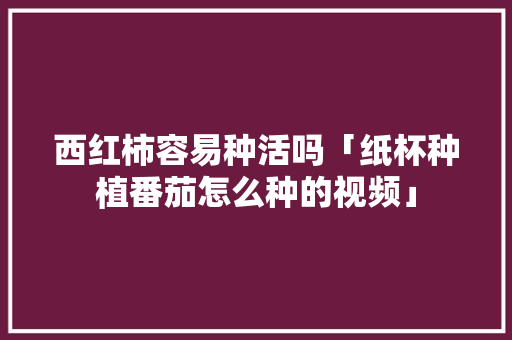 西红柿容易种活吗「纸杯种植番茄怎么种的视频」