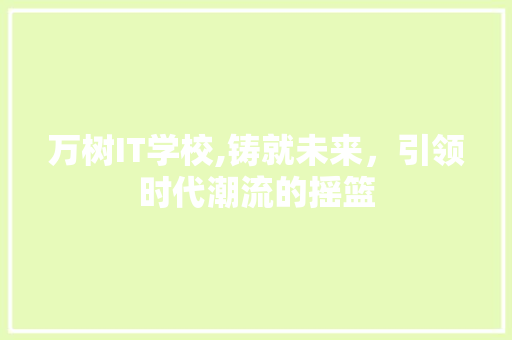 万树IT学校,铸就未来，引领时代潮流的摇篮