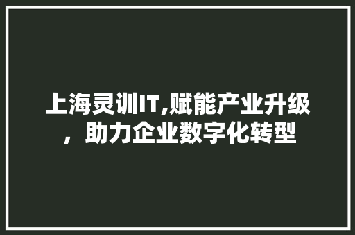 上海灵训IT,赋能产业升级，助力企业数字化转型