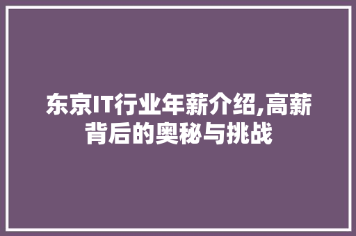 东京IT行业年薪介绍,高薪背后的奥秘与挑战