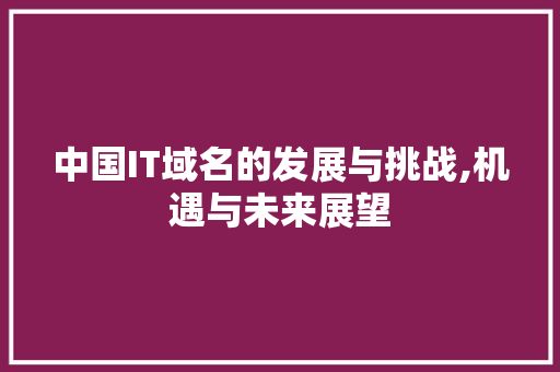中国IT域名的发展与挑战,机遇与未来展望