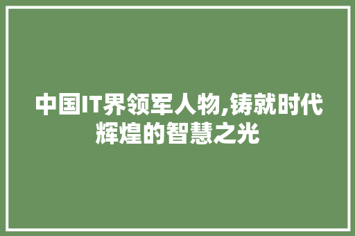 中国IT界领军人物,铸就时代辉煌的智慧之光