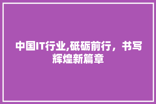 中国IT行业,砥砺前行，书写辉煌新篇章