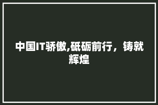 中国IT骄傲,砥砺前行，铸就辉煌