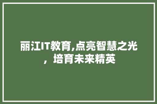 丽江IT教育,点亮智慧之光，培育未来精英