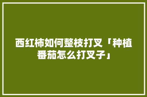 西红柿如何整枝打叉「种植番茄怎么打叉子」 西红柿如何整枝打叉「种植番茄怎么打叉子」 农业常识