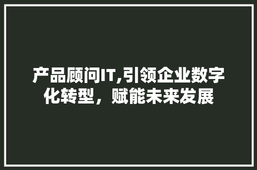 产品顾问IT,引领企业数字化转型，赋能未来发展