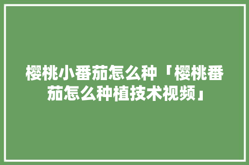 樱桃小番茄怎么种「樱桃番茄怎么种植技术视频」 樱桃小番茄怎么种「樱桃番茄怎么种植技术视频」 农业常识