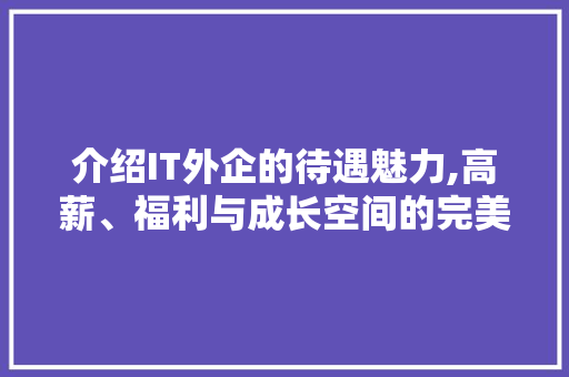 介绍IT外企的待遇魅力,高薪、福利与成长空间的完美融合