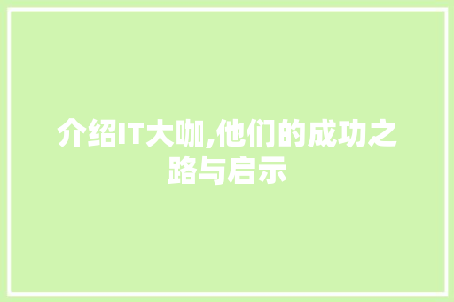 介绍IT大咖,他们的成功之路与启示