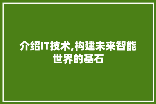 介绍IT技术,构建未来智能世界的基石