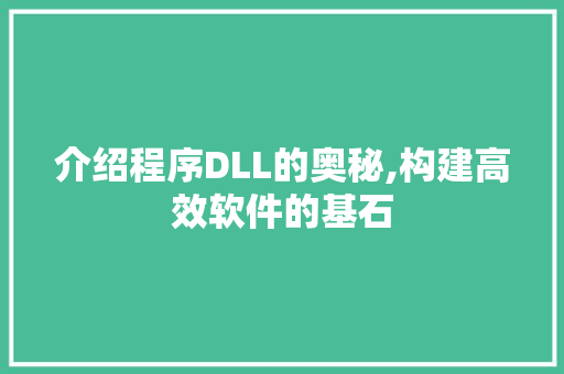 介绍程序DLL的奥秘,构建高效软件的基石