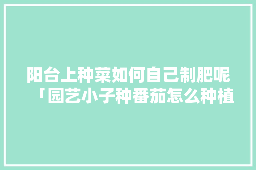 阳台上种菜如何自己制肥呢「园艺小子种番茄怎么种植视频」 阳台上种菜如何自己制肥呢「园艺小子种番茄怎么种植视频」 土壤施肥