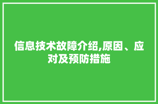 信息技术故障介绍,原因、应对及预防措施
