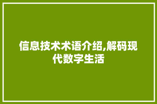 信息技术术语介绍,解码现代数字生活
