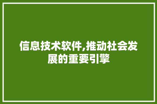 信息技术软件,推动社会发展的重要引擎