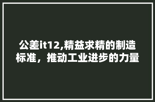 公差it12,精益求精的制造标准，推动工业进步的力量