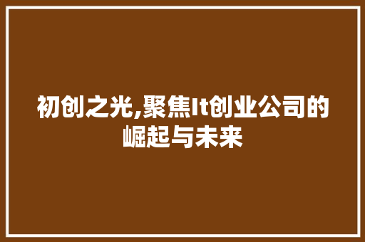 初创之光,聚焦It创业公司的崛起与未来
