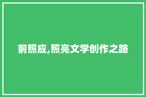 前照应,照亮文学创作之路