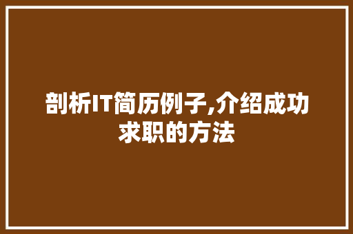 剖析IT简历例子,介绍成功求职的方法