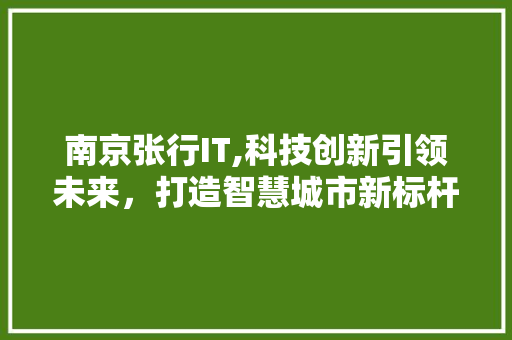 南京张行IT,科技创新引领未来，打造智慧城市新标杆