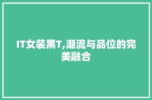 IT女装黑T,潮流与品位的完美融合