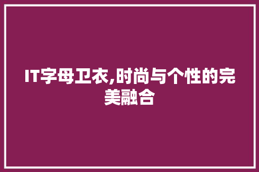 IT字母卫衣,时尚与个性的完美融合