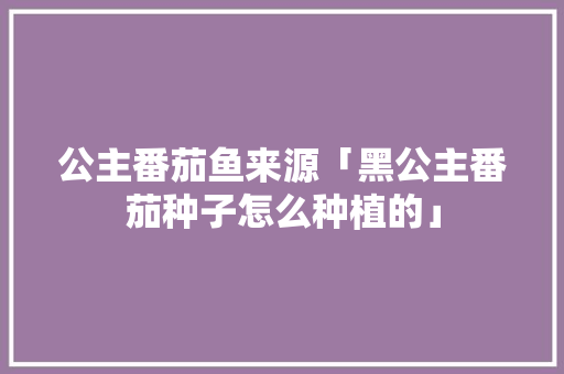 公主番茄鱼来源「黑公主番茄种子怎么种植的」 植物种类 公主番茄鱼来源「黑公主番茄种子怎么种植的」 公主番茄鱼来源「黑公主番茄种子怎么种植的」 植物种类