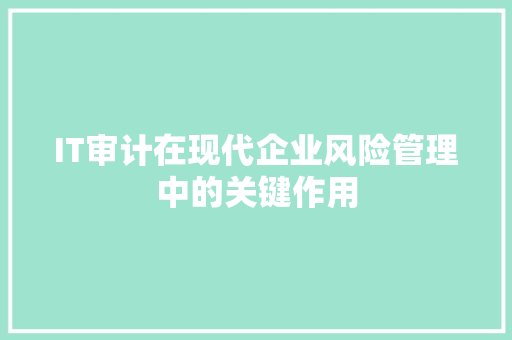 IT审计在现代企业风险管理中的关键作用