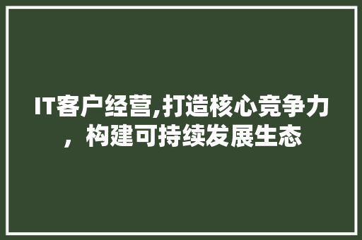 IT客户经营,打造核心竞争力，构建可持续发展生态