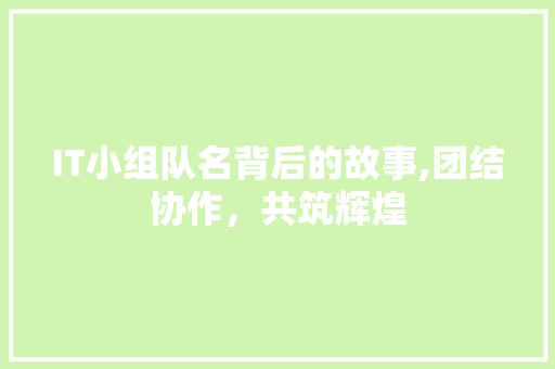IT小组队名背后的故事,团结协作，共筑辉煌