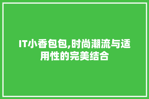 IT小香包包,时尚潮流与适用性的完美结合