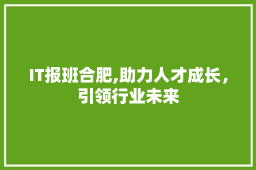 IT报班合肥,助力人才成长，引领行业未来