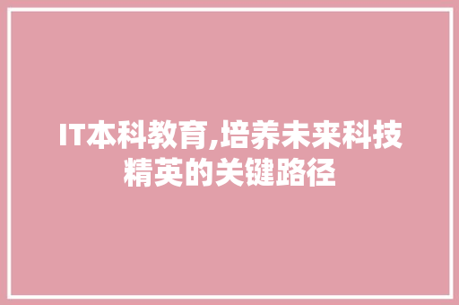 IT本科教育,培养未来科技精英的关键路径