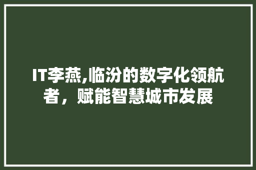 IT李燕,临汾的数字化领航者，赋能智慧城市发展