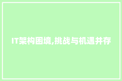 IT架构困境,挑战与机遇并存