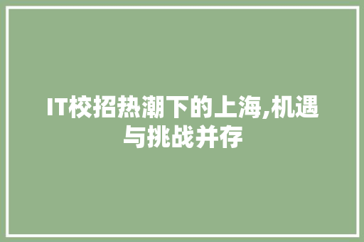 IT校招热潮下的上海,机遇与挑战并存