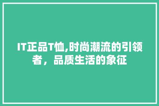IT正品T恤,时尚潮流的引领者，品质生活的象征