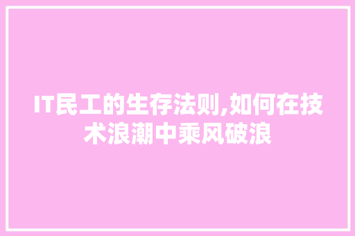 IT民工的生存法则,如何在技术浪潮中乘风破浪