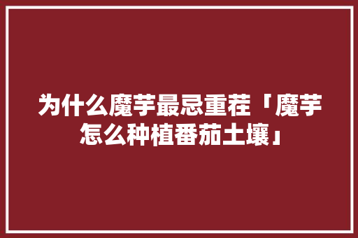 为什么魔芋最忌重茬「魔芋怎么种植番茄土壤」