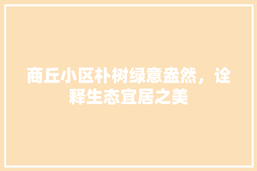 商丘小区朴树绿意盎然，诠释生态宜居之美