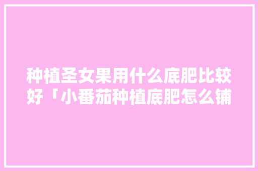种植圣女果用什么底肥比较好「小番茄种植底肥怎么铺地膜」 种植圣女果用什么底肥比较好「小番茄种植底肥怎么铺地膜」 番茄种植技巧