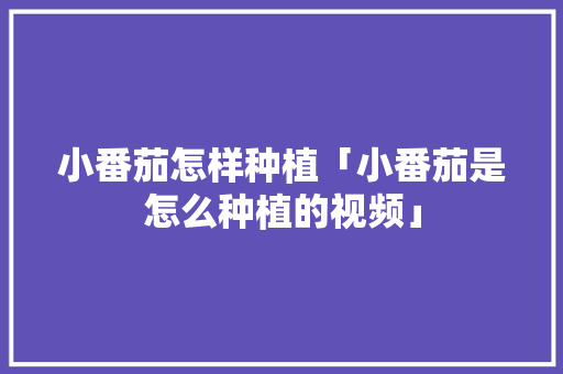 小番茄怎样种植「小番茄是怎么种植的视频」 小番茄怎样种植「小番茄是怎么种植的视频」 花朵知识