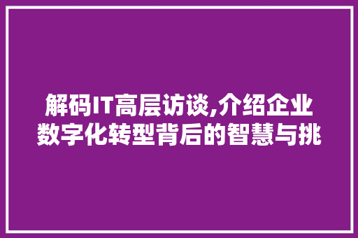 解码IT高层访谈,介绍企业数字化转型背后的智慧与挑战