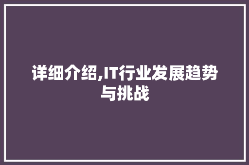 详细介绍,IT行业发展趋势与挑战